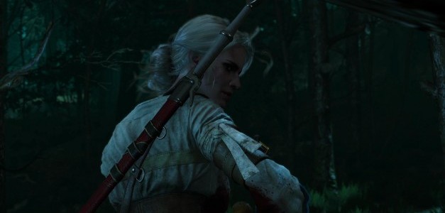 witcher-2